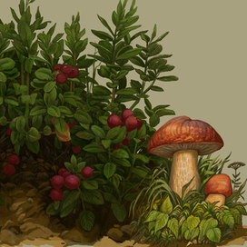 лесная ягода-2016