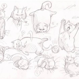 Гамельнский крысолов.