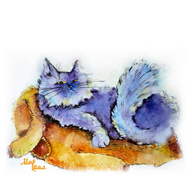 Любимый свитер кота