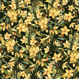 Фон с вербейником