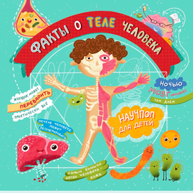 Факты о теле человека