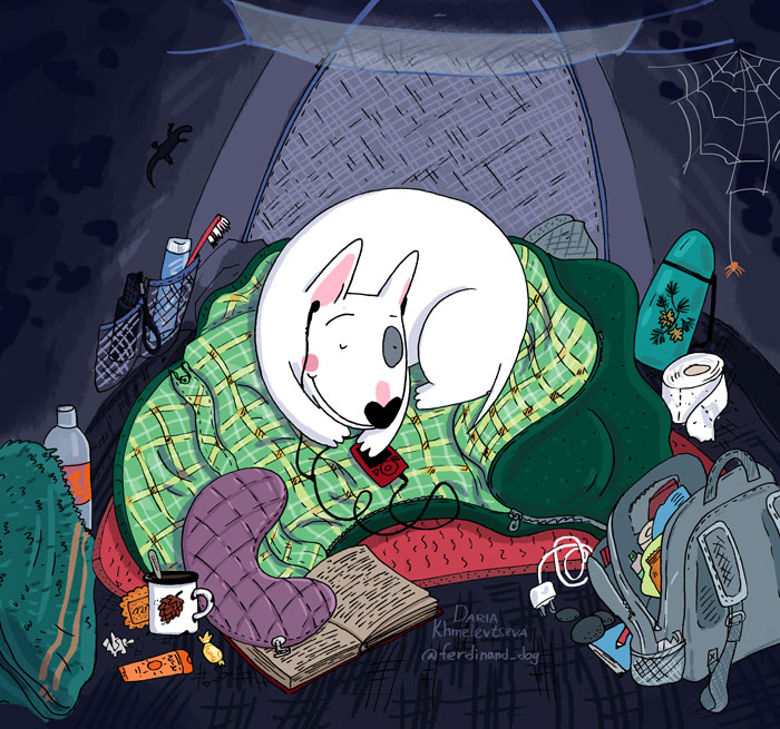 Собака в палатке. Уютная ночь