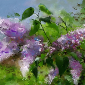 Сирень в саду