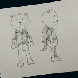 Кот-путешественник