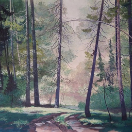 Лесная дорога