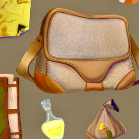 Сумка путешественника