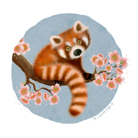 Красная Панда