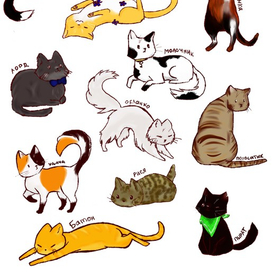 городские коты