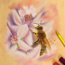 Bee