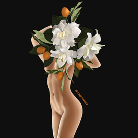 Lady Gardenia 