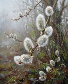 Пушистая верба