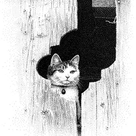 Хозяина ждёт с рыбалки.