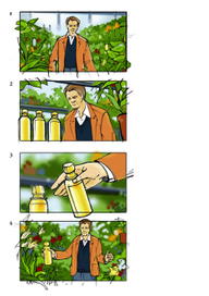 Биоплан-флора-1