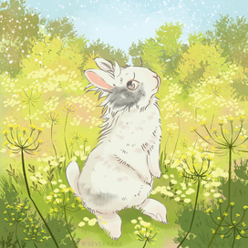 Белый кролик на полянке