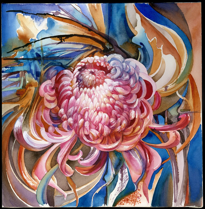 Хризантема