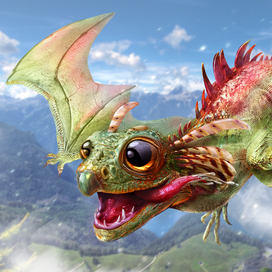 Первый полет