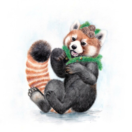 Красная панда