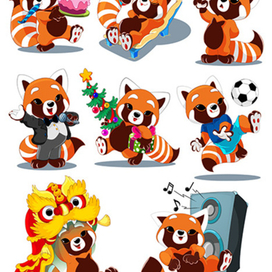 красная панда 