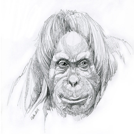  мудрый -{мысли}