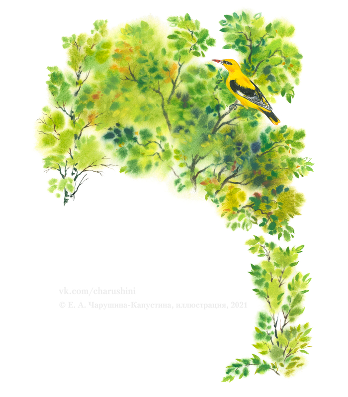 Иллюстрация к авторской книге "Зеркальный дом озёрной чайки"