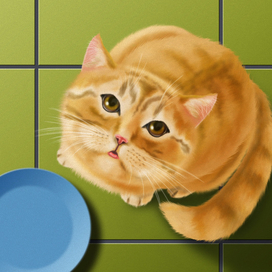 Кот говорит "МЯУ!!!!!!!!"