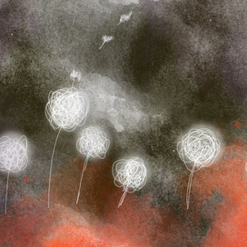 одуванчики