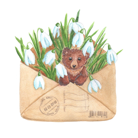 Подснежники и мишка в конверте