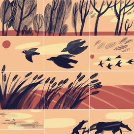 Несжатая полоса