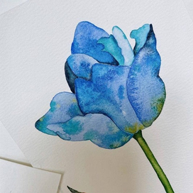 Космический тюльпан