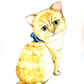 Грустный котёнок