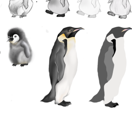 Стилизация Пингвинов 
