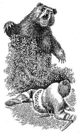 Иллюстрация "Сокровища острова Кокос"