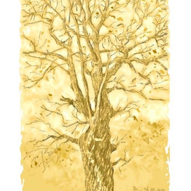 Большие деревья 5