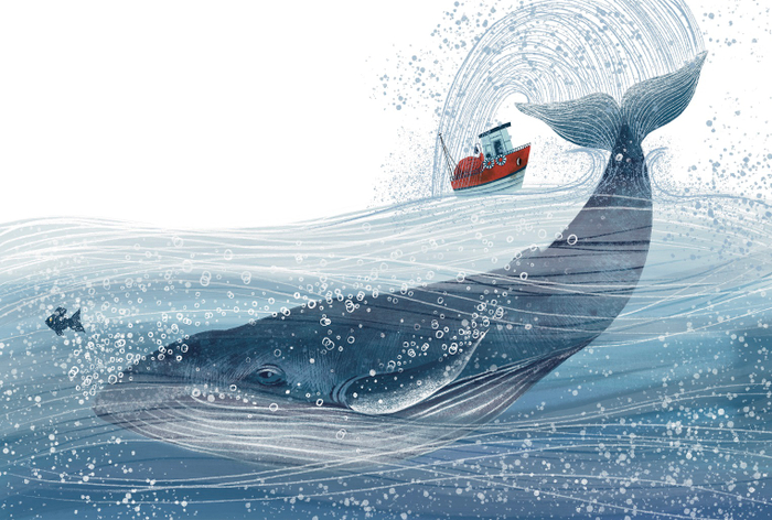 Путешествие по семи морям