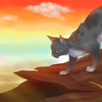 Шапка для сайта