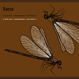 Создание кистей и иллюстрация