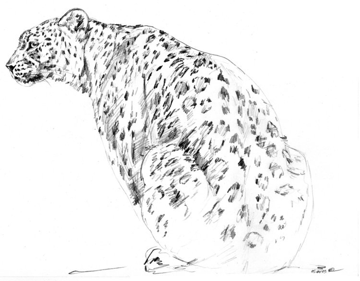 Леопард дальневосточный