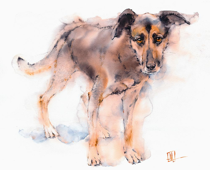 Грустная собака