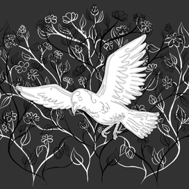 Светлый голубь