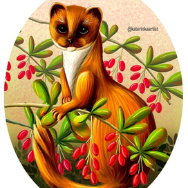 Ласка и барбарис