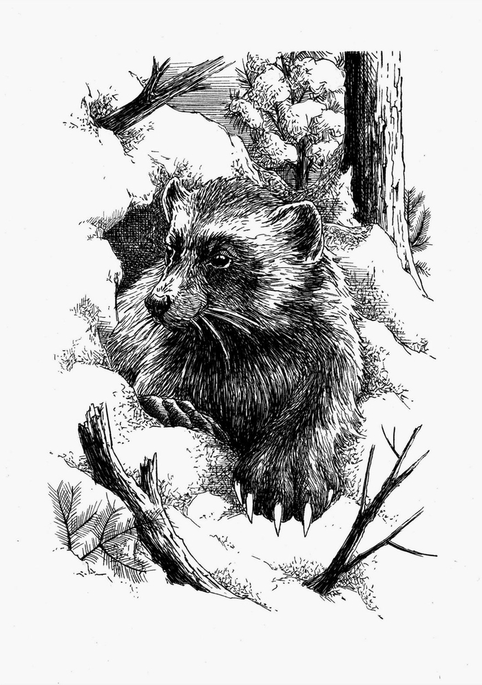 Возвращение росомахи. Илл.2