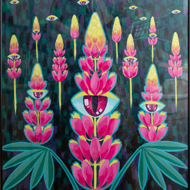 Люпиновое поле