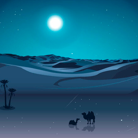 Ночь в пустыне