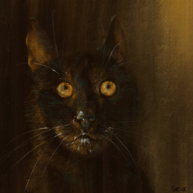 Таинственный незнакомец 