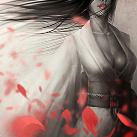 Лепестки Сакуры