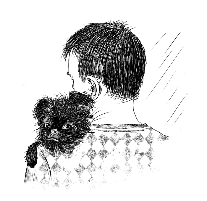 Иллюстрация к книге "Истории со счастливым хвостом"