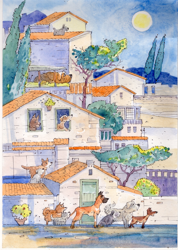 город собак