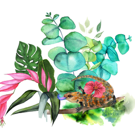 Сцинк синеязыкий. Обитатели и растения Австралии