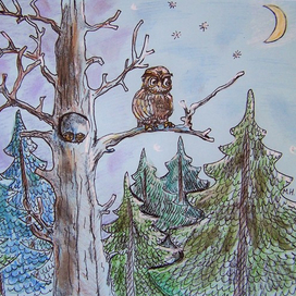 Совушка-сова