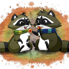 Еноты едят печеньки